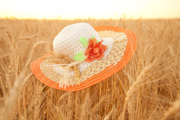 Západ slunce večer zlaté pšeničné pole s bílý slaměný klobouk - Fotografie, Obrázek