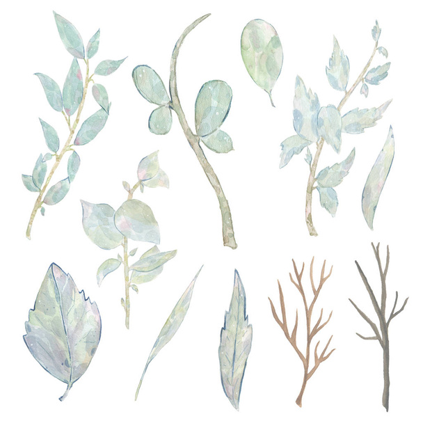 Aquarell handbemalte grüne Blätter zweigen isoliert auf weißem Hintergrund ab - Foto, Bild