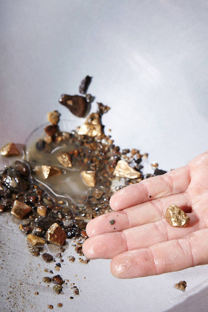 Golden nuggets found in creek sand by panning - Photo, image