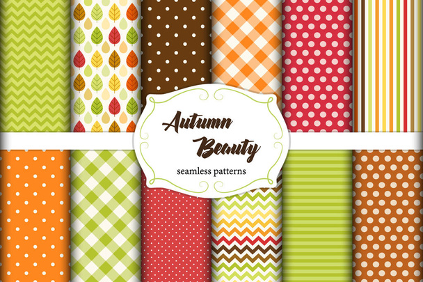 Conjunto de 12 padrões de beleza de outono sem costura bonito com folhas, bolinhas. listras, chevron e xadrez
 - Vetor, Imagem
