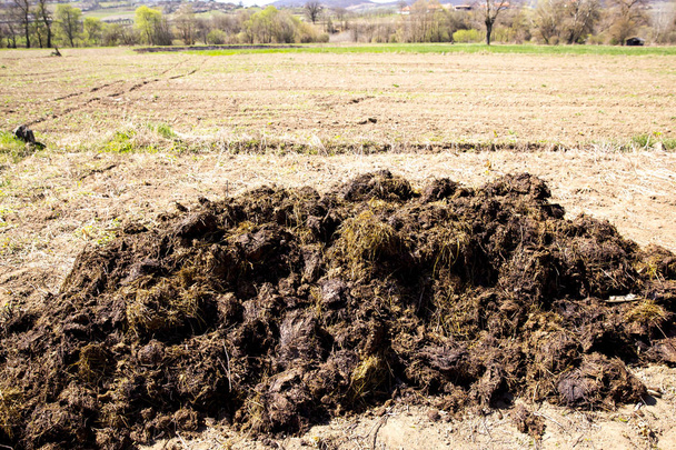 manure on the farm field in countryside - Photo, Image