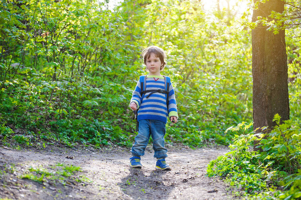 A child walks through the woods. - 写真・画像