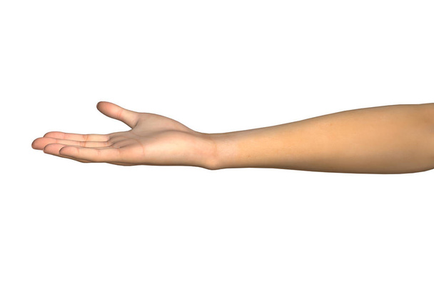 Human hand isolated on white background. - Photo, Image