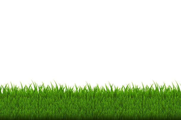 Zielona granica trawy  - Wektor, obraz