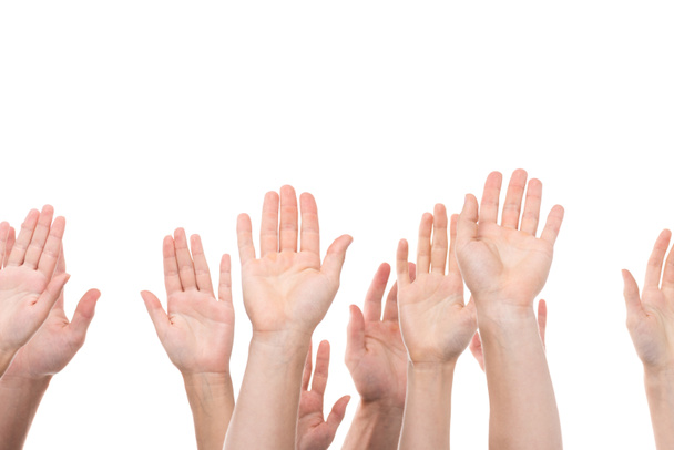 raising hands - Photo, Image