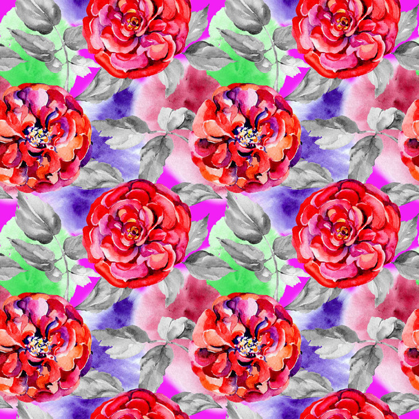Wildflower τριαντάφυλλο λουλούδι μοτίβο σε στυλ υδροχρώματος. - Φωτογραφία, εικόνα