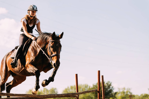Young female jockey on horse leaping over hurdle - Φωτογραφία, εικόνα