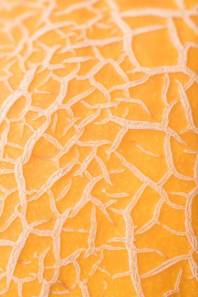 Close up shot of melon's skin - Foto, imagen