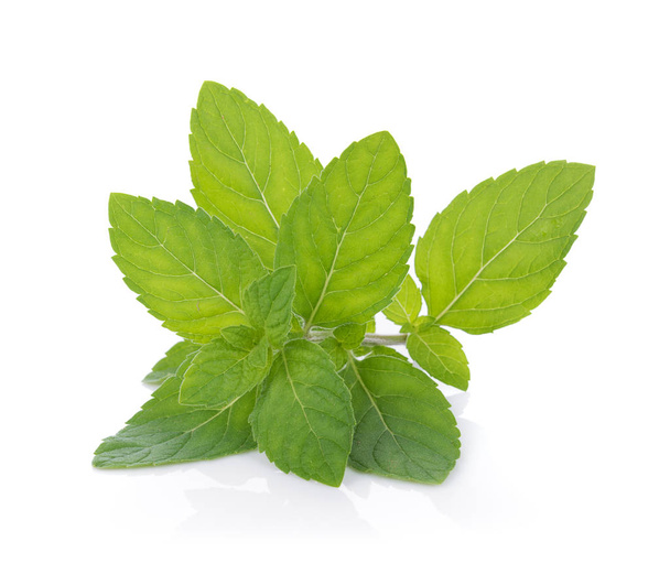 Peppermint on white background - Photo, Image