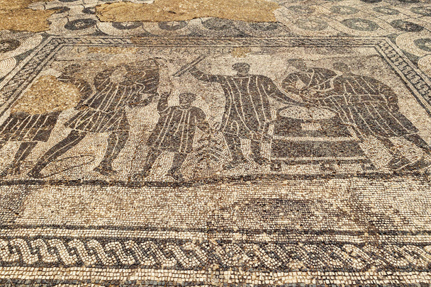 Scavi archeologici a Ostia Antica: Dettaglio mosaico di
 - Foto, immagini