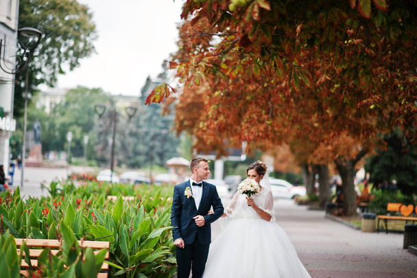Good-looking newly married couple walking and enjoying each othe - Foto, imagen