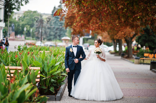 Good-looking newly married couple walking and enjoying each othe - Foto, Imagem