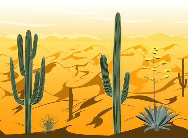 Varrat nélküli mintát a sivatagi táj és kaktuszok sziluettek a vektor - Fotó, kép