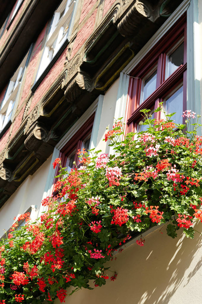 Flowers at a timbered house - Photo, Image