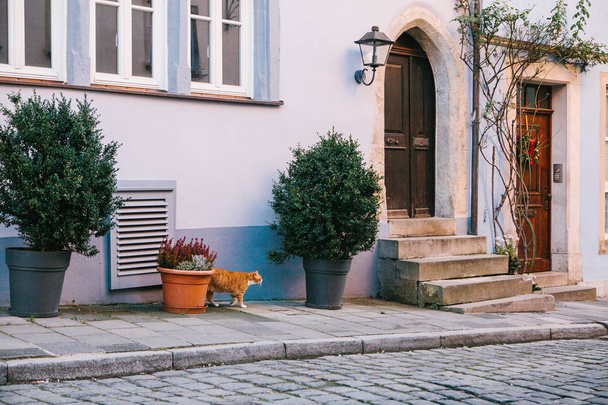 A külső egyszerű gyönyörű kék rendelkező hagyományos ház, növények és háziállatok, Rothenburg ob der Tauber Németországban. Európai város. - Fotó, kép