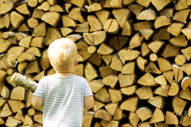 Ein einjähriges Kleinkind trägt Brennholz nach hinten. Brennholzrückstand - Foto, Bild
