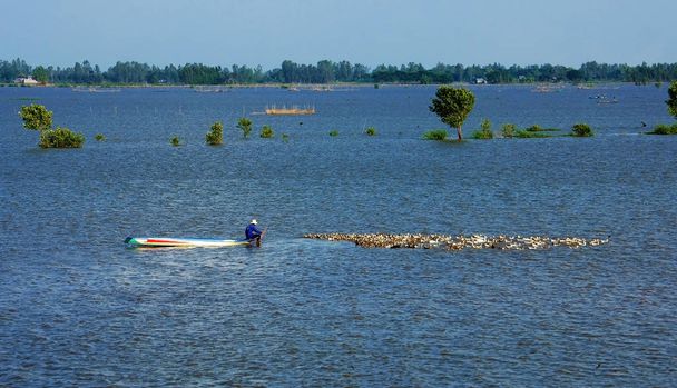 Mekong Delta landschap in de overstroming seizoen - Foto, afbeelding