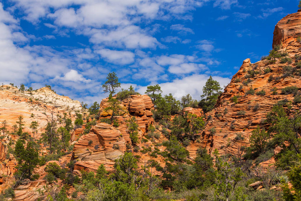 Όμορφο τοπίο στο εθνικό πάρκο Zion, με κόκκινα πετρώματα - Φωτογραφία, εικόνα