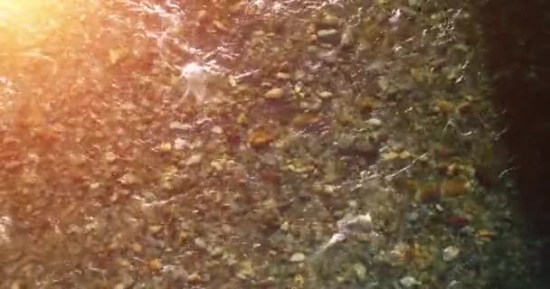 Mid air flight over fresh and clean mountain river at sunny summer morning. Top view and horizontal movement - Filmmaterial, Video