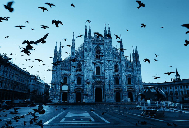 Milan Cathedral Square güvercin - Fotoğraf, Görsel