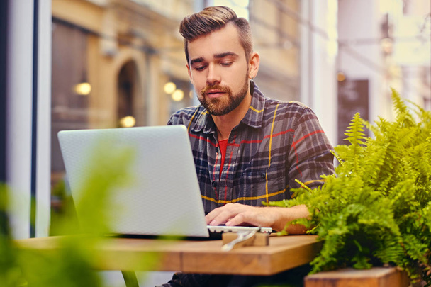 Бородатий чоловік використовує ноутбук у кафе
 - Фото, зображення