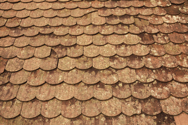 Background of old ceramic tiles with moss - Zdjęcie, obraz
