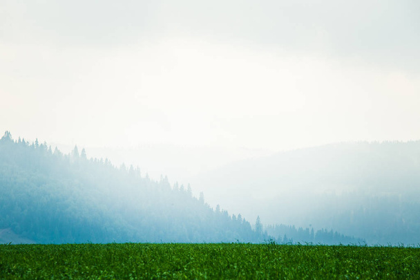 Красиві Туманний словацьких гірські пейзажі в Низьких Татрах - Фото, зображення