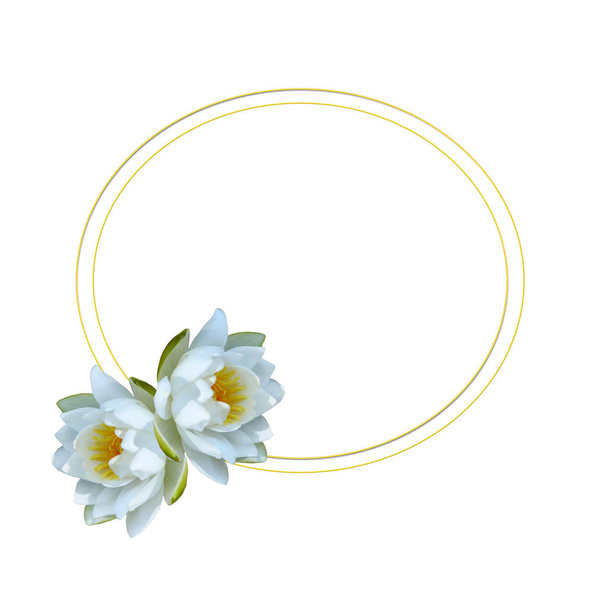 Flower water lily isolated on white background. - Valokuva, kuva