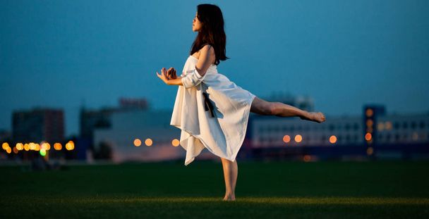 Ballerina seisoo aiheuttaa niellä nurmikolla illalla
. - Valokuva, kuva