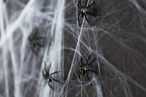 halloween decoration of black toy spider on cobweb - Fotoğraf, Görsel