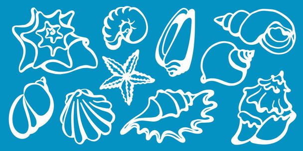 Set of sea shells on a blue background. Undersea world. Vector line - Vector, Image