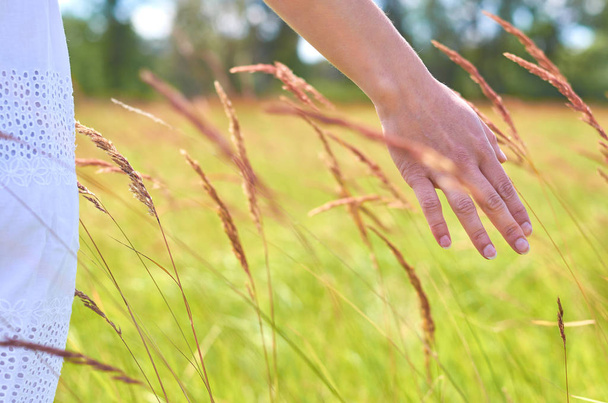 Chica mano acariciando plantas silvestres. El concepto de unidad con la naturaleza, pureza de vida
 - Foto, Imagen