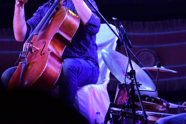 tocando violonchelo en concierto en vivo
 - Foto, imagen