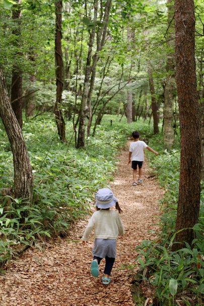 Irmão japonês e irmã em uma caminhada (7 anos de idade menino e 2 anos de idade menina
) - Foto, Imagem