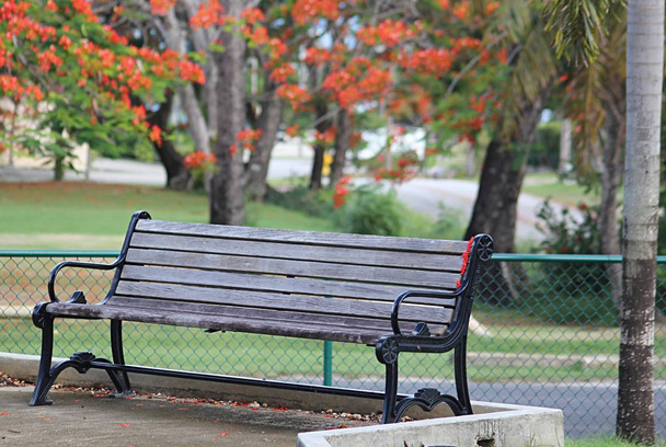 Demir el ile bir uzun ahşap tezgah arka planda bulanık alev ağaçları ile, bir parkta dayanıyor - Fotoğraf, Görsel