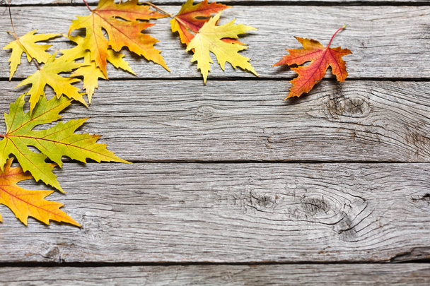Осенние кленовые желтые листья на деревенском фоне
 - Фото, изображение