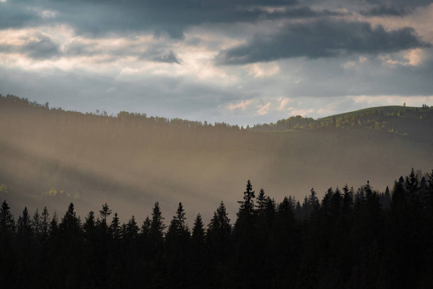 Bouřková mračna nad hory a Les - Fotografie, Obrázek