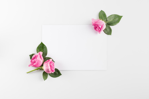 rosas rosadas y tarjeta en blanco
 - Foto, imagen
