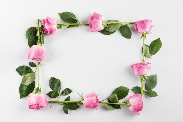 marco con rosas rosadas
 - Foto, Imagen