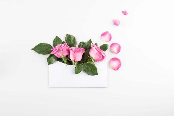 Rózsaszín rózsák boríték - Fotó, kép