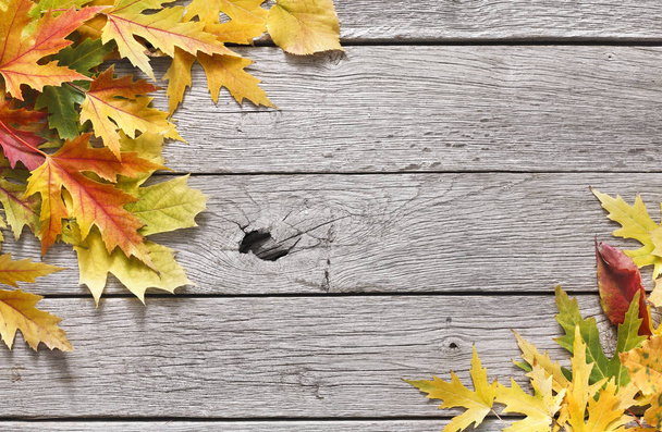 Фон осеннего сезона, листья желтого клена
 - Фото, изображение