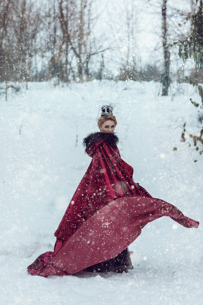 Princess in a red cloak in the snow - Photo, image