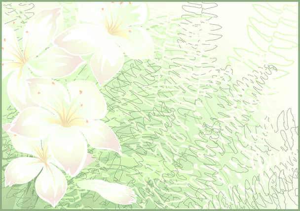 花の背景 - ベクター画像