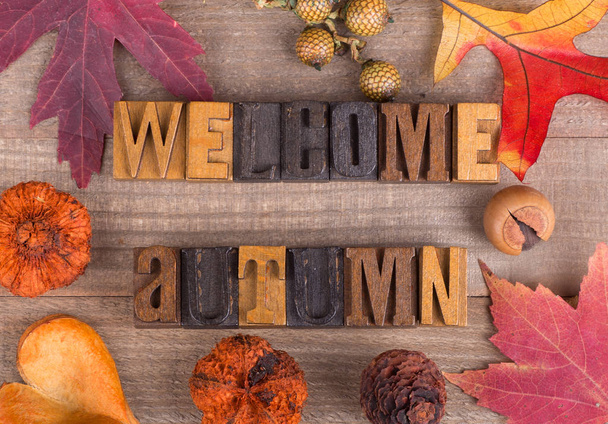 Welcome Autumn Sign - Photo, Image