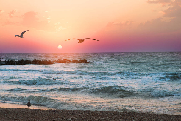 Les goélands survolent la mer - Photo, image