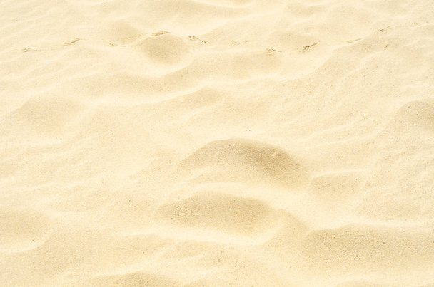Tracce nella sabbia, sabbia gialla sulla spiaggia sopra l'oceano, mare
 - Foto, immagini