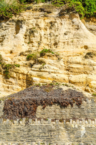 Приморський пісковик схил, покритий травою і кущами, геолог
 - Фото, зображення