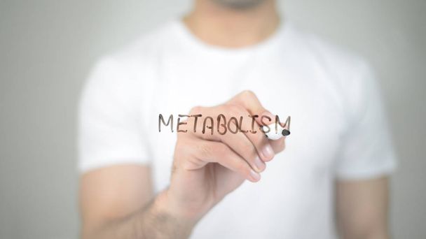 Metabolismo, uomo che scrive sullo schermo trasparente
 - Foto, immagini