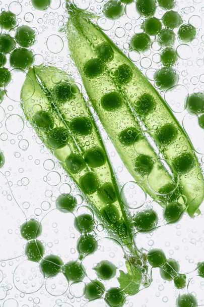 green peas floating in water - Foto, Bild