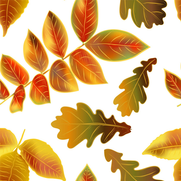 Hermosas hojas brillantes de otoño sobre fondo blanco, patrón inconsútil vector
 - Vector, Imagen